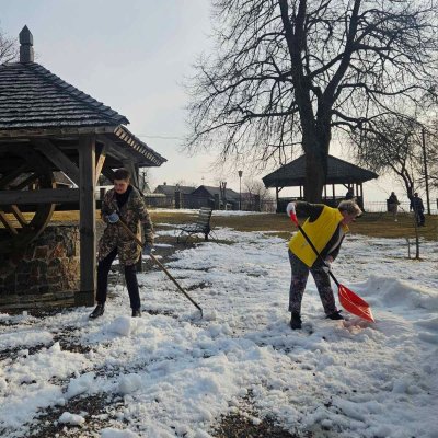 изображение_viber_2026-03-11_12-01-18-186